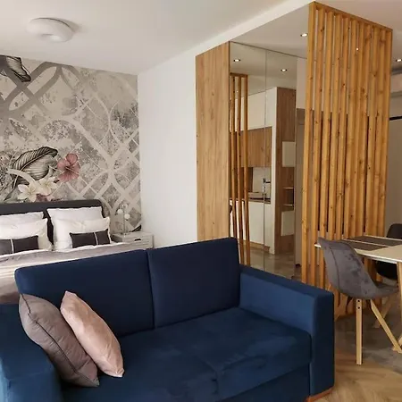 Househost Apt - Rakowicka 20h * Kraków
